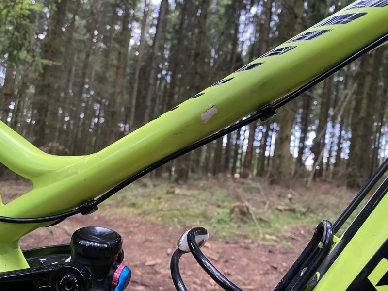 Trek Remedy