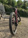 Trek remedy 7