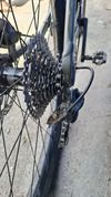 Spezialized Turbo Leavo HT