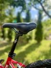 Horské Kolo Arezzo ROCO 24" Red