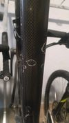 Stevens Carbon team