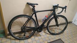 Stevens Carbon team