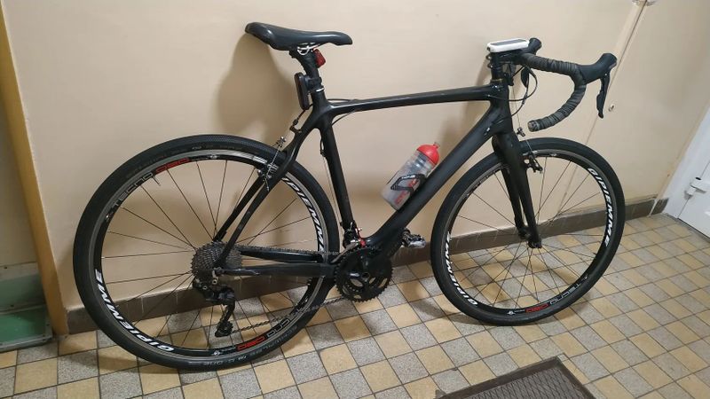 Stevens Carbon team