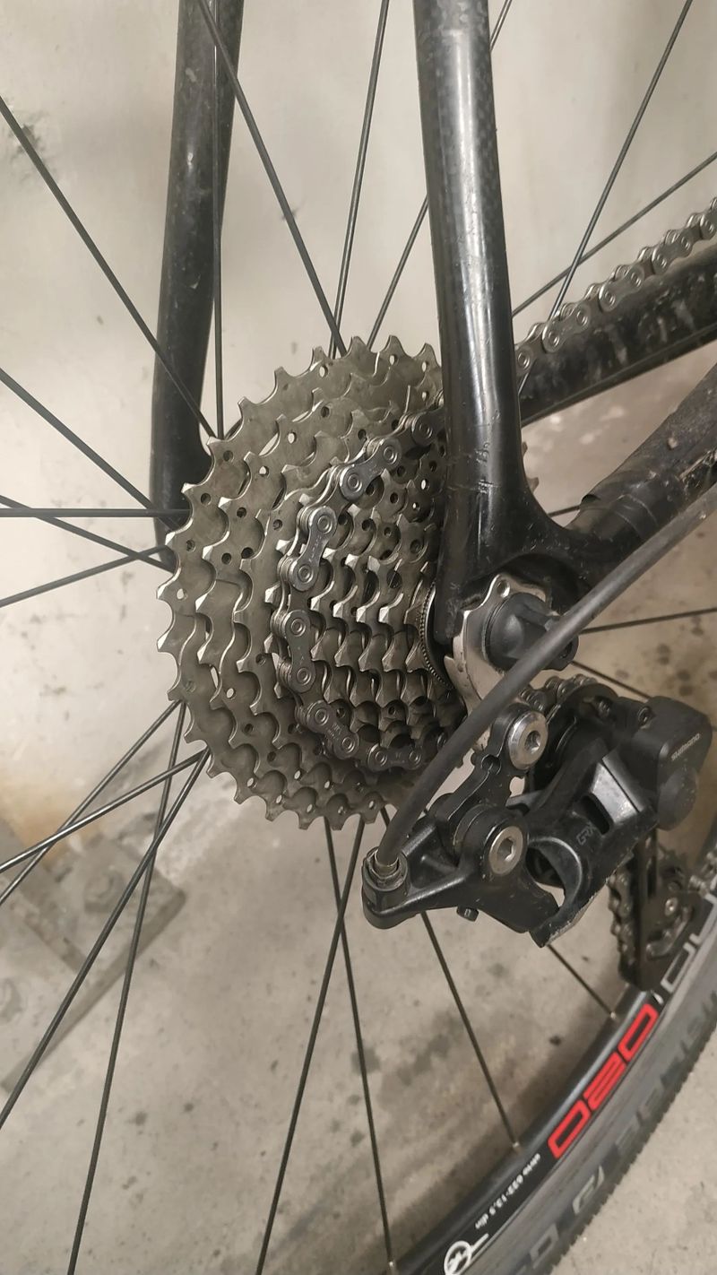 Stevens Carbon team