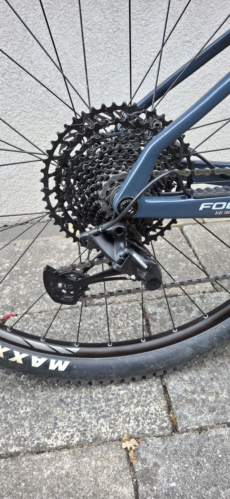 FOCUS RAVEN 8.7