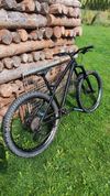 Dartmoor primal 2021