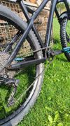 Dartmoor primal 2021