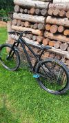 Dartmoor primal 2021