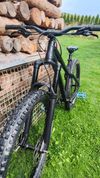 Dartmoor primal 2021
