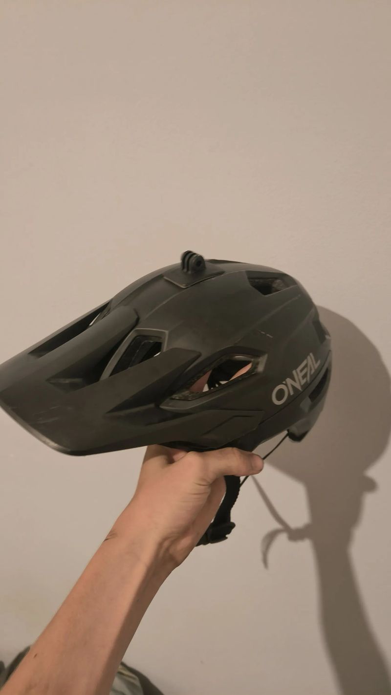 Dartmoor primal 2021
