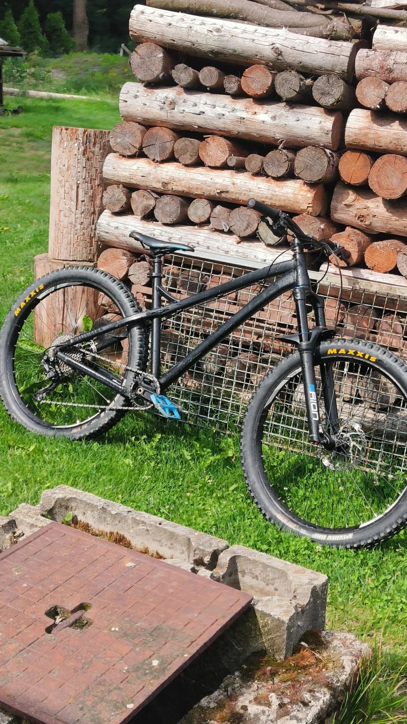 Dartmoor primal 2021