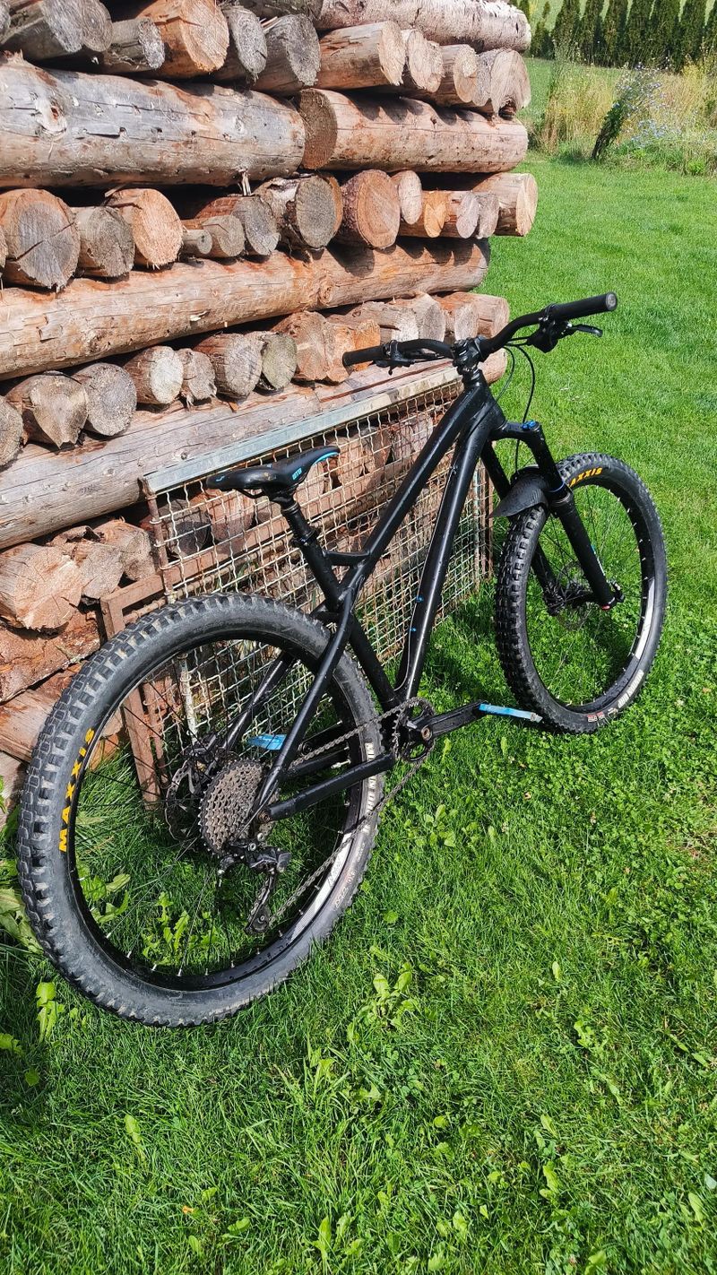 Dartmoor primal 2021