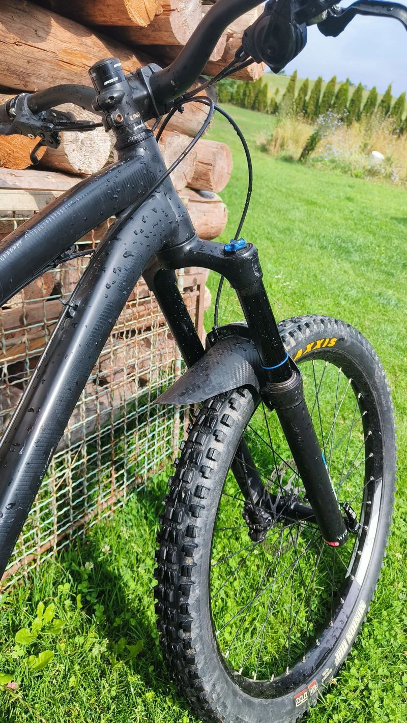 Dartmoor primal 2021