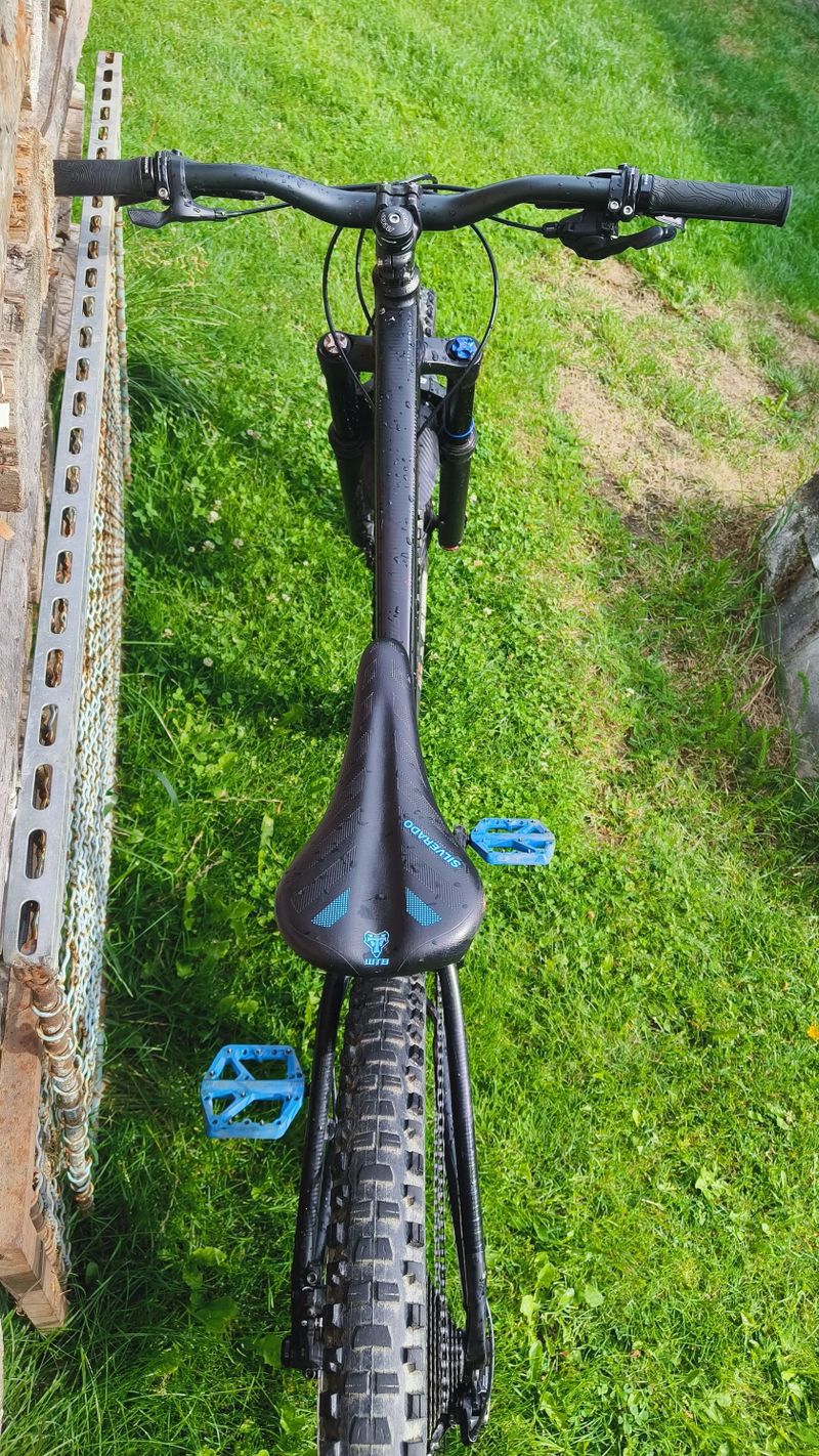 Dartmoor primal 2021