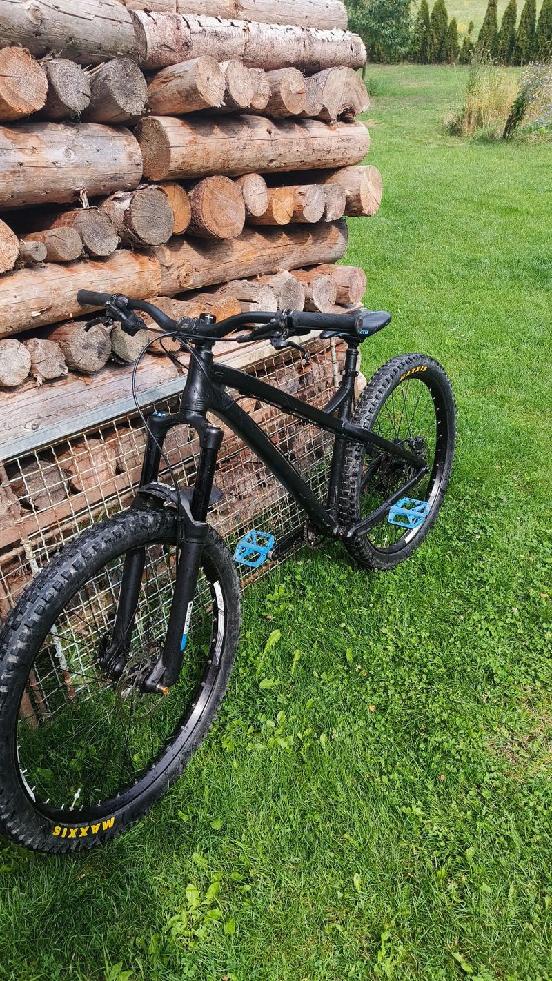 Dartmoor primal 2021