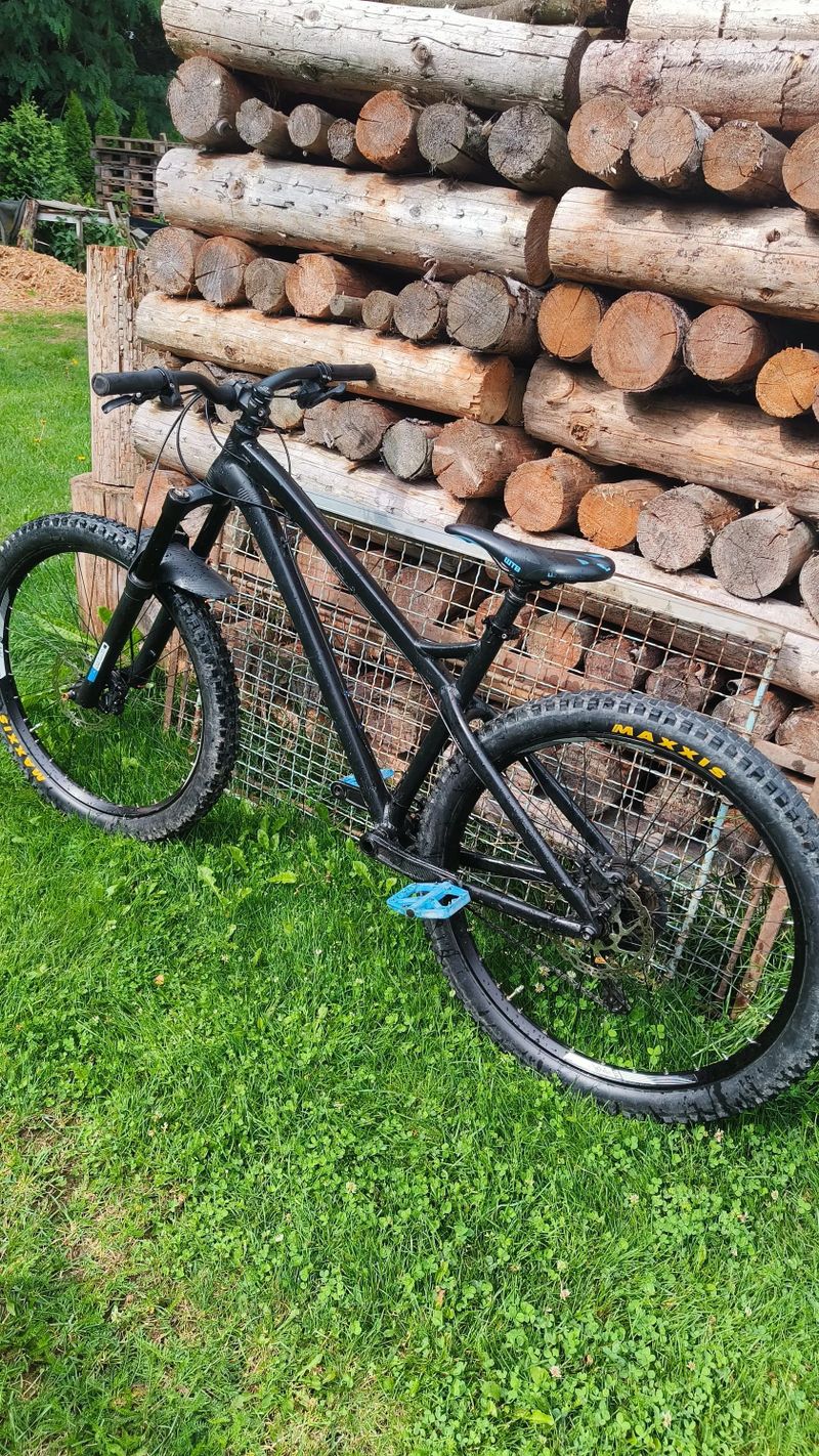 Dartmoor primal 2021