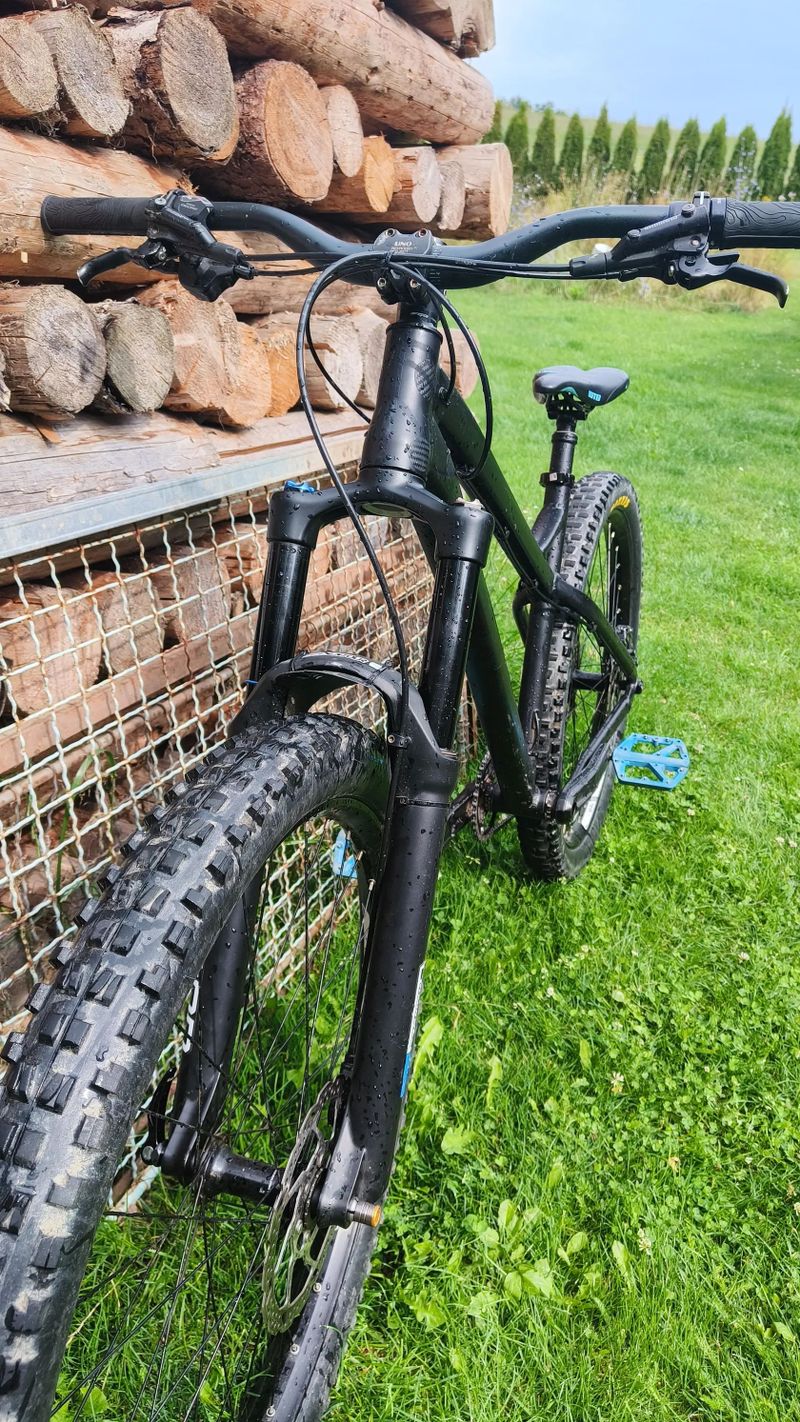 Dartmoor primal 2021