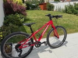 Orbea MX 24 TEAM