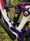  Giant Liv Lust 3 2015