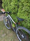 Specialized Jett Expert 29 šedá/bílá/zelená