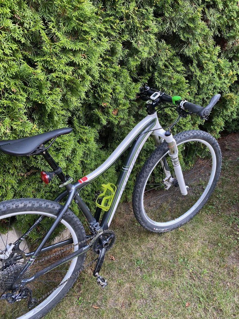 Specialized Jett Expert 29 šedá/bílá/zelená