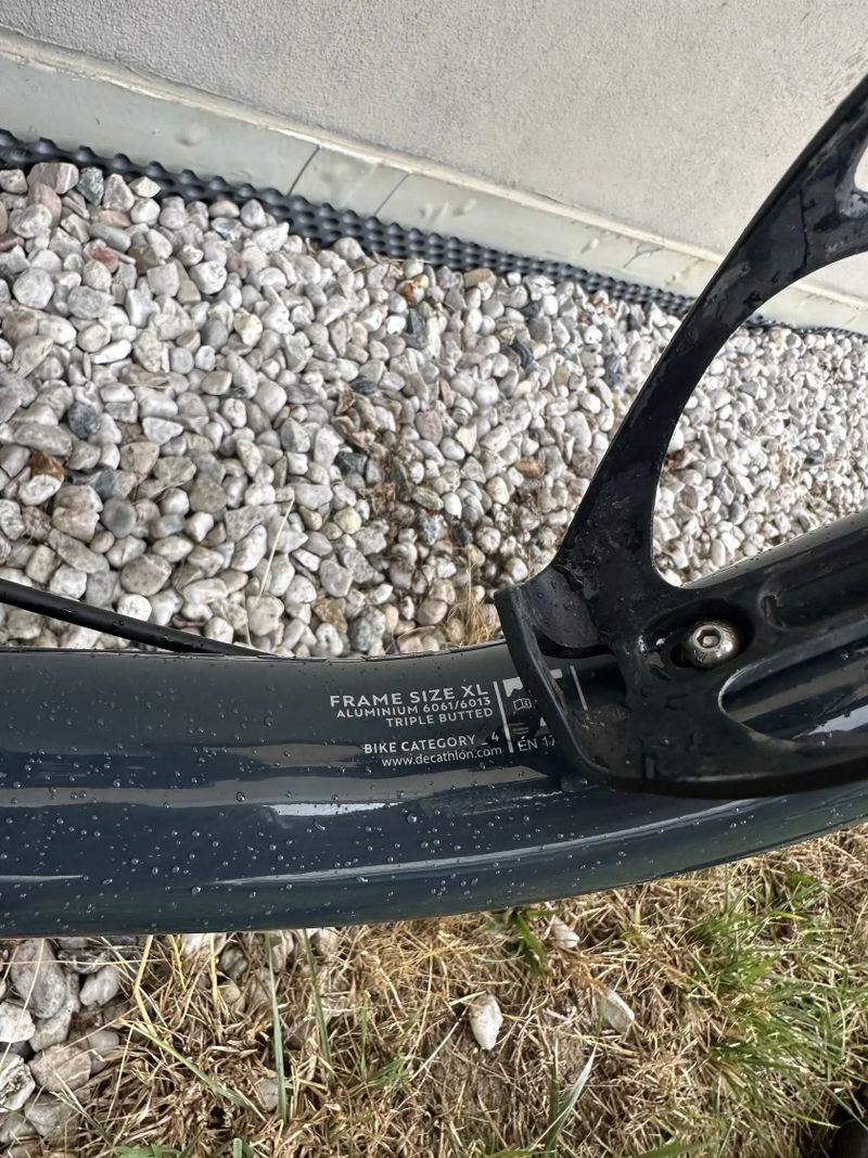 Rockrider AM 50 S 29" XL (2024)