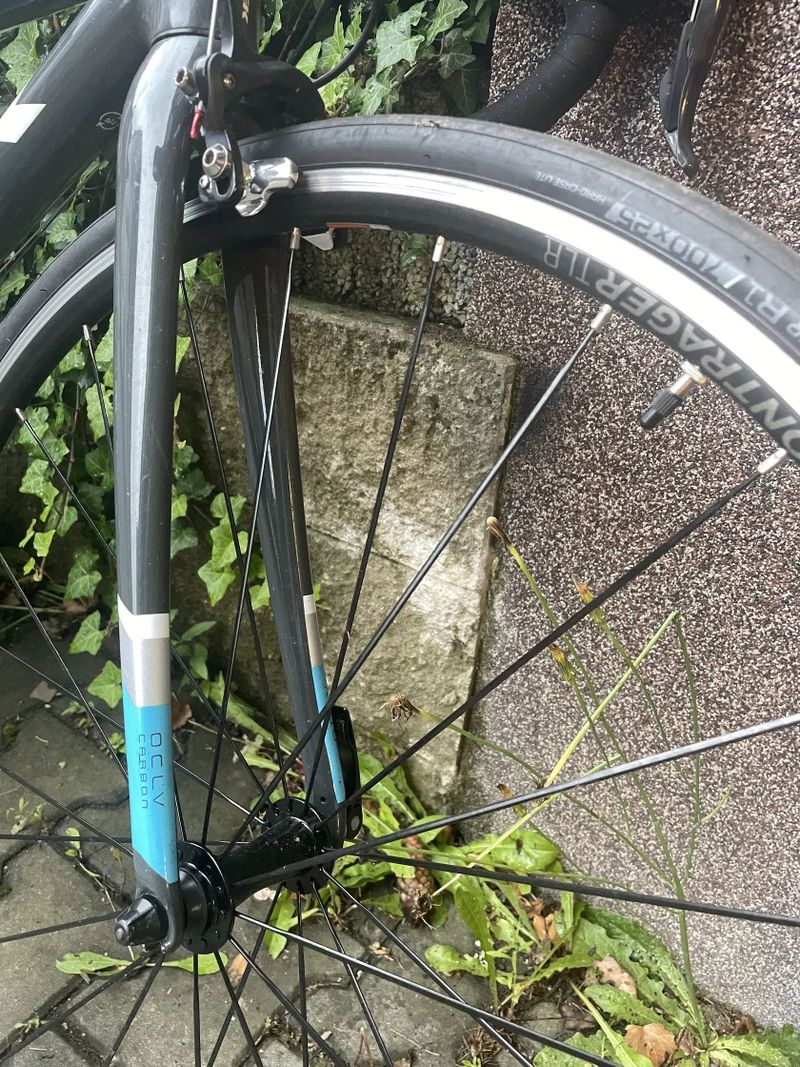 Trek Domain AL3