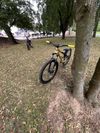 Ctm dirtking