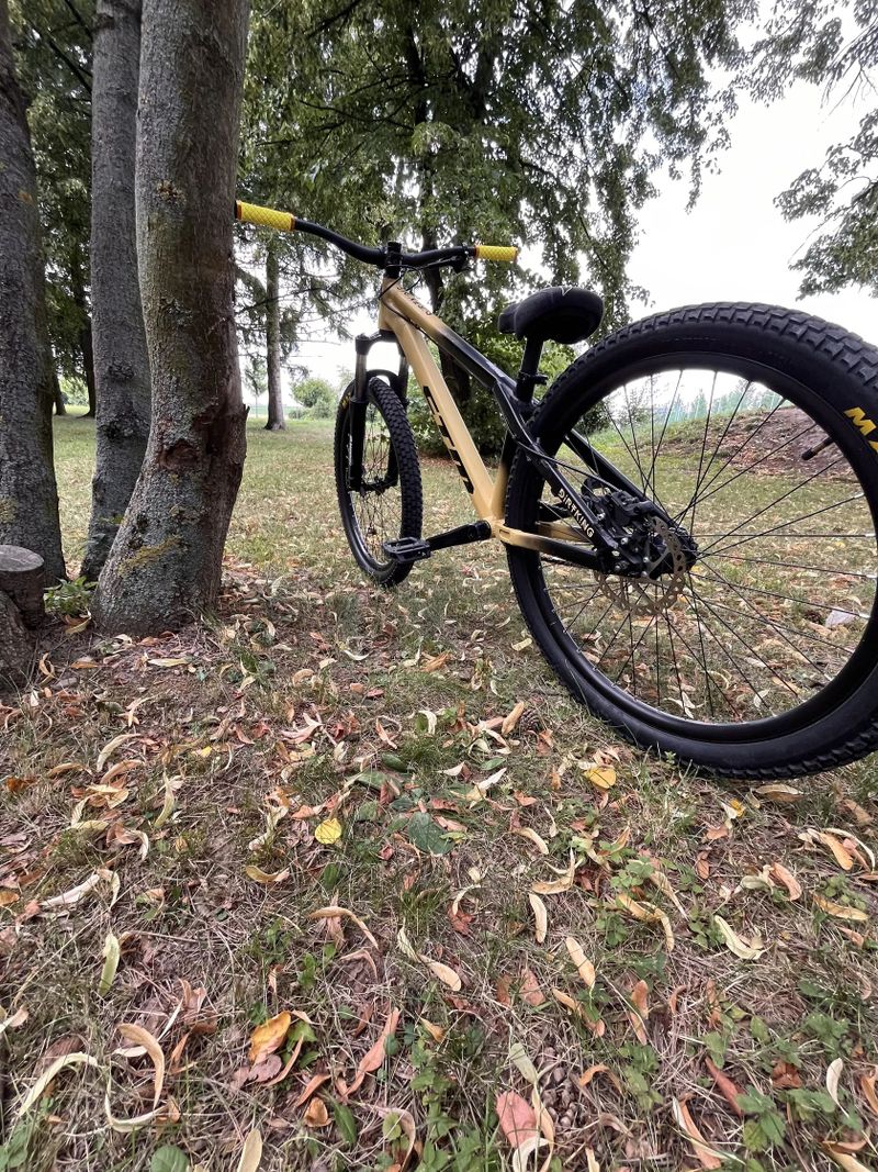 Ctm dirtking