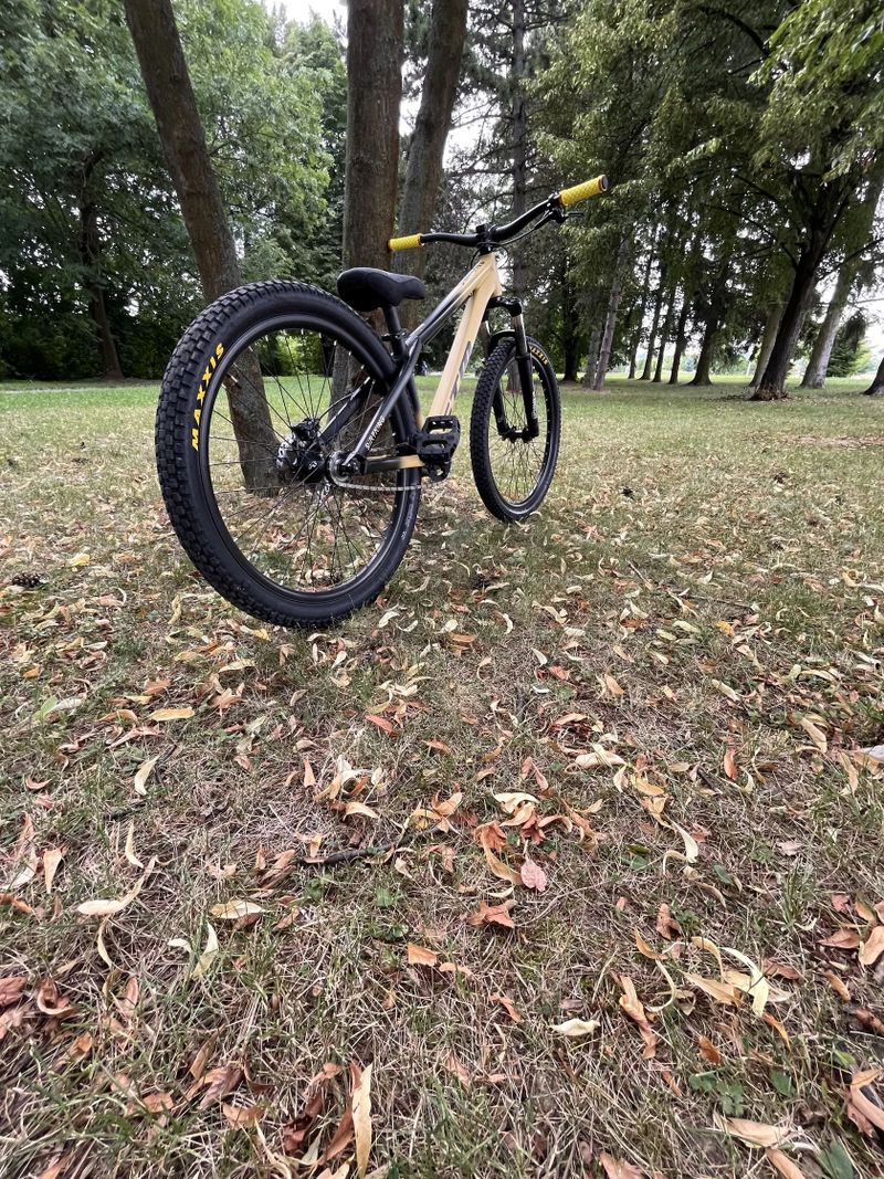 Ctm dirtking