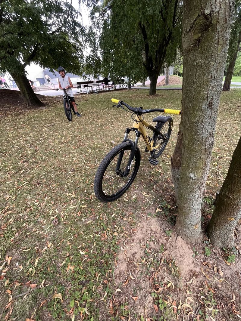 Ctm dirtking