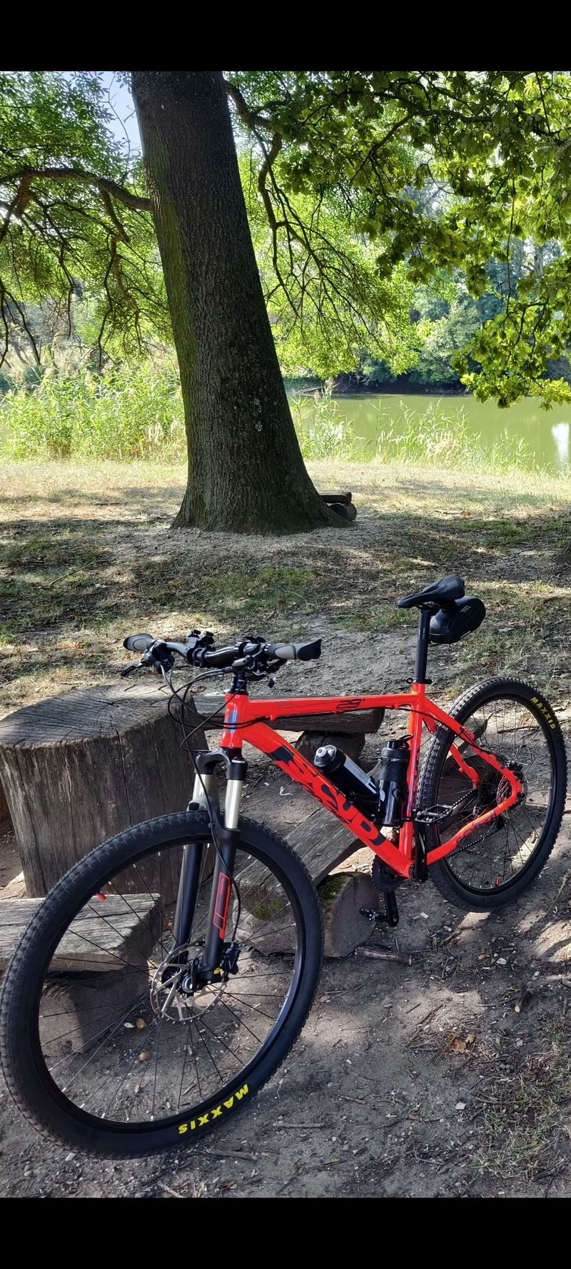 Horské kolo Scud 29
