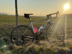Trek Domane 4.3 (karbon, Shimano 105)