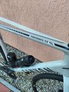Canyon Endurance CF SL 7, vel.L