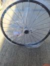 29" přední kolo DT Swiss X 1900 Spline 622x25 - 6 děr