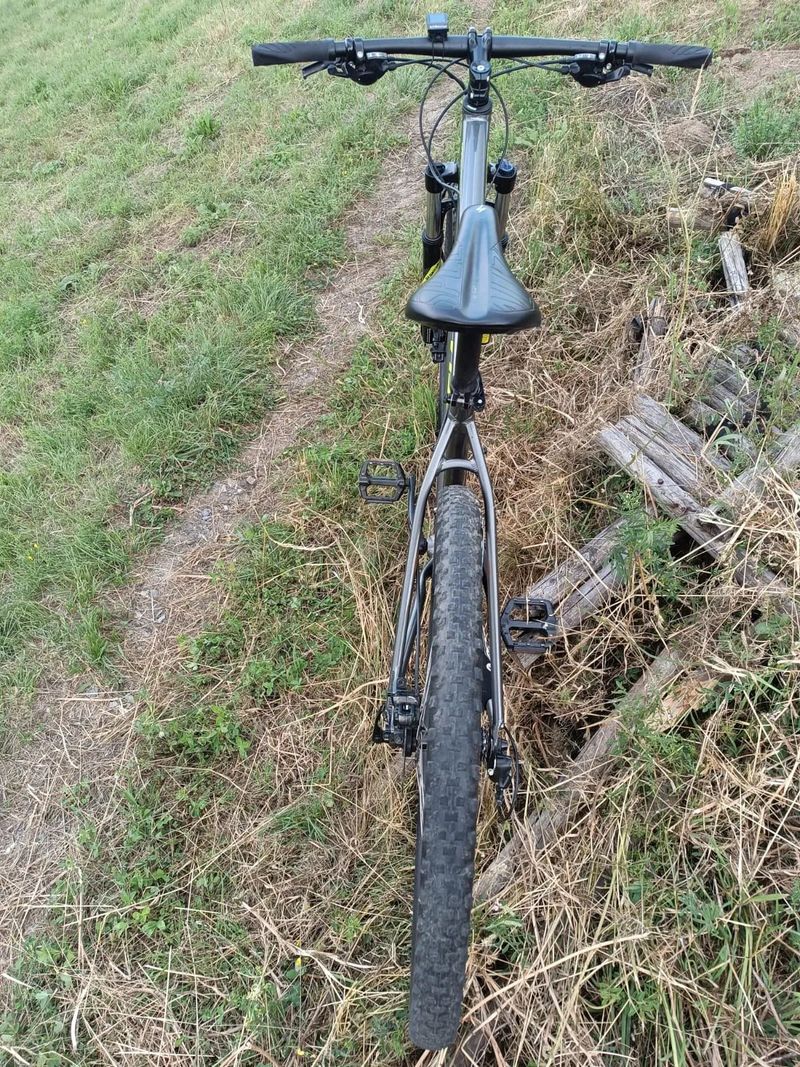  Specialized ROCKHOPPER 29
