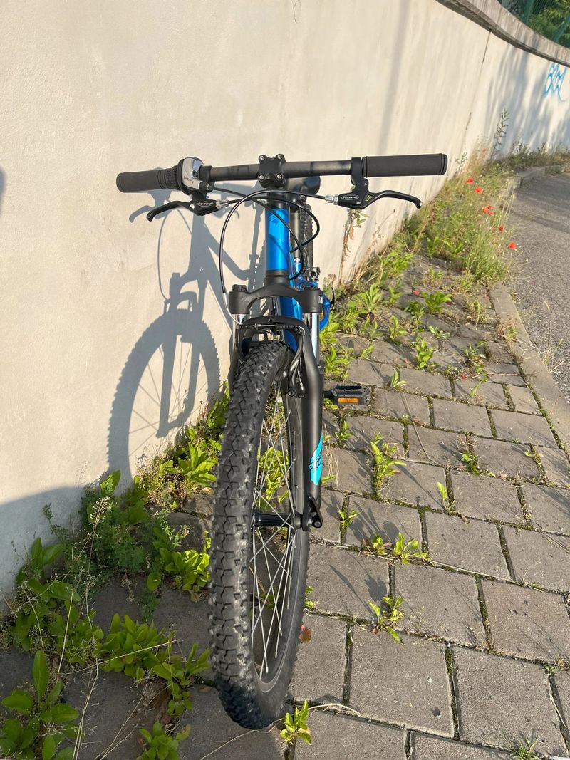 Superior Racer XC 24 (1 x 8)