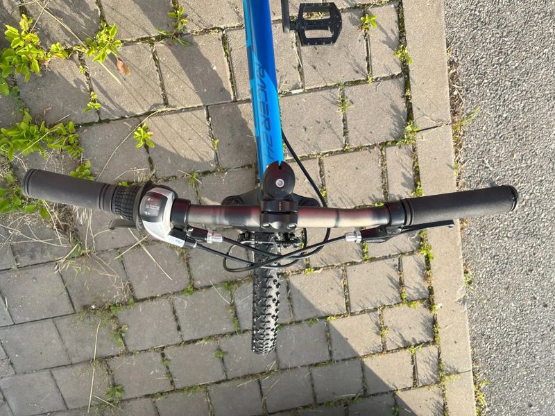 Superior Racer XC 24 (1 x 8)