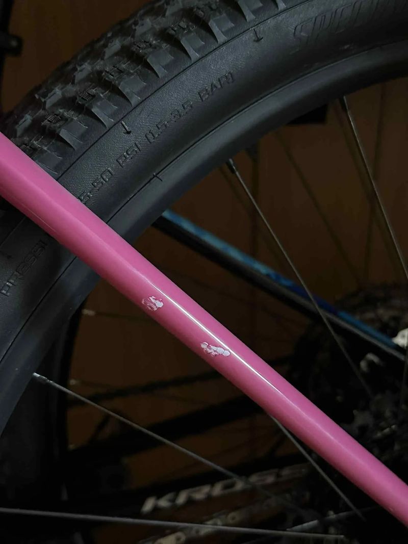 Specialized Epic HT