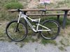 Cannondale scalpel
