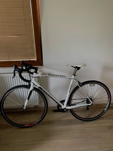 Prodám Specialized Allez expert 