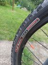 MTB Author modus