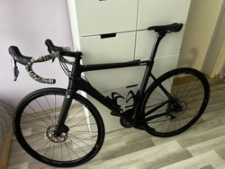Basso Venta 2022