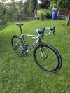 Binachi Sempre Pro velikost 55cm
