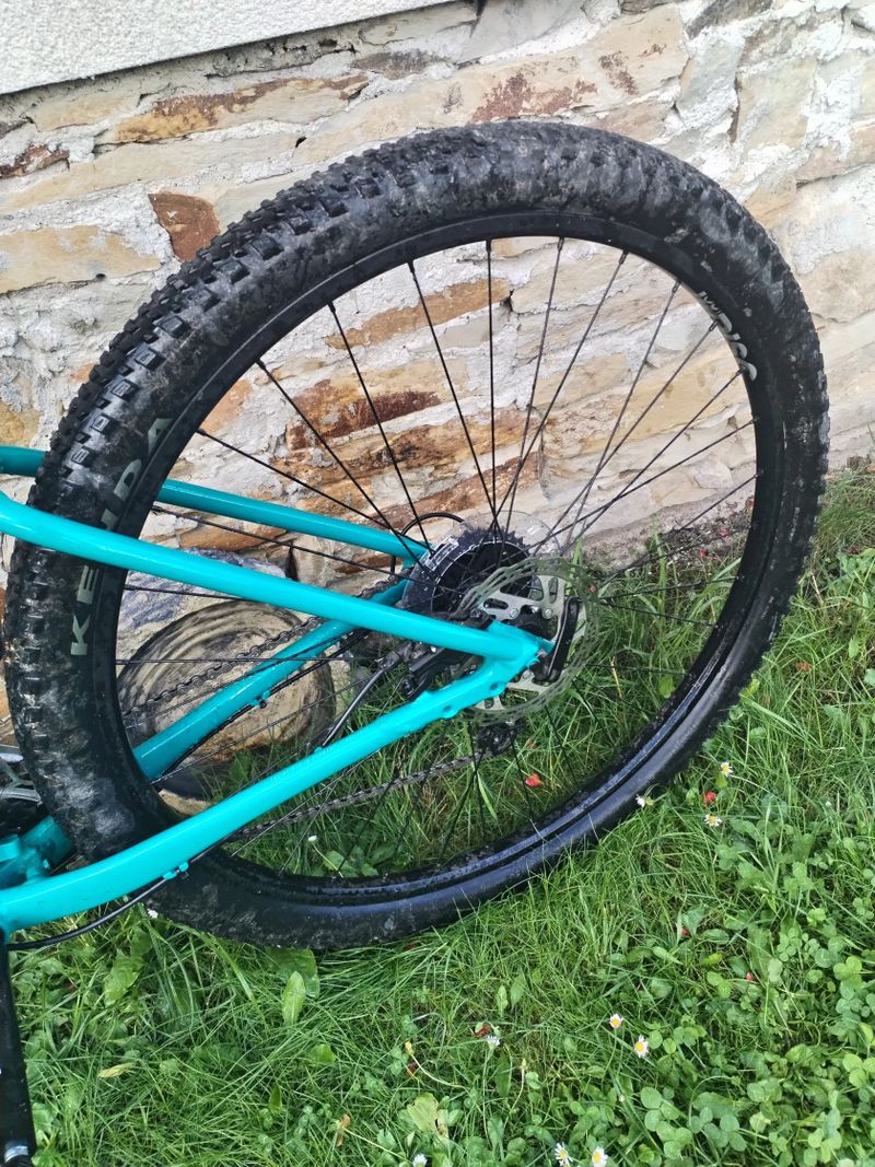 FOCUS - WHISTLER 3.6 29" Blue Green 42