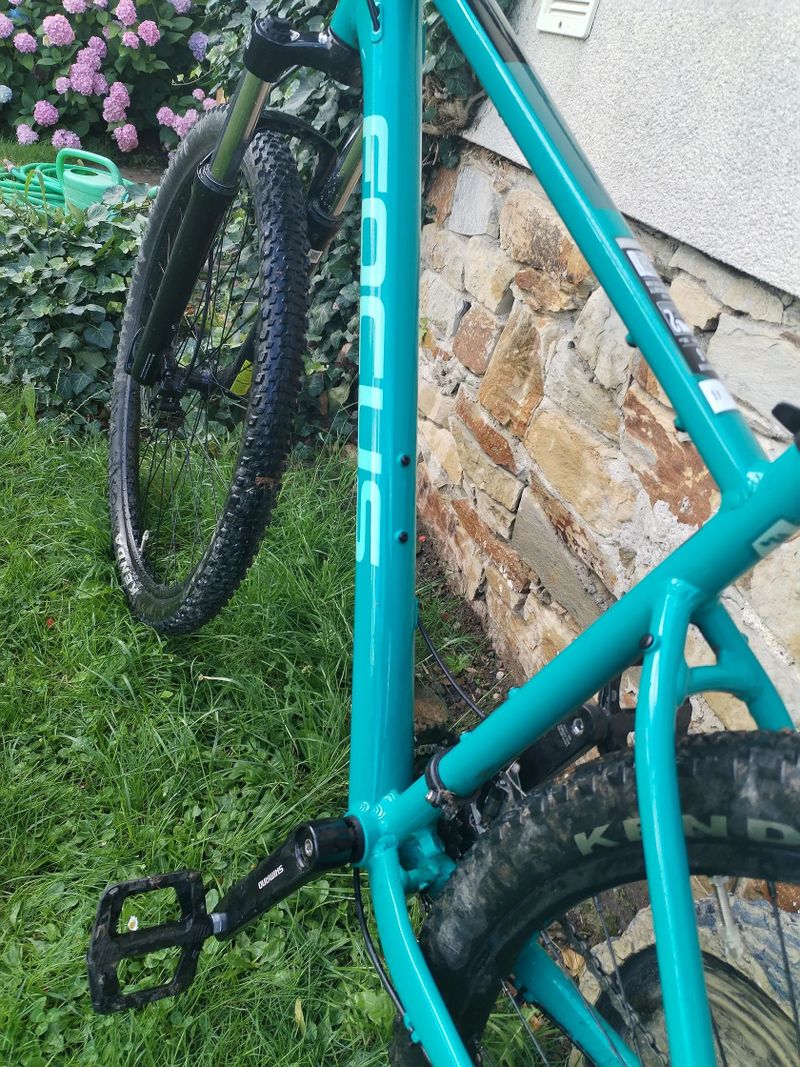 FOCUS - WHISTLER 3.6 29" Blue Green 42