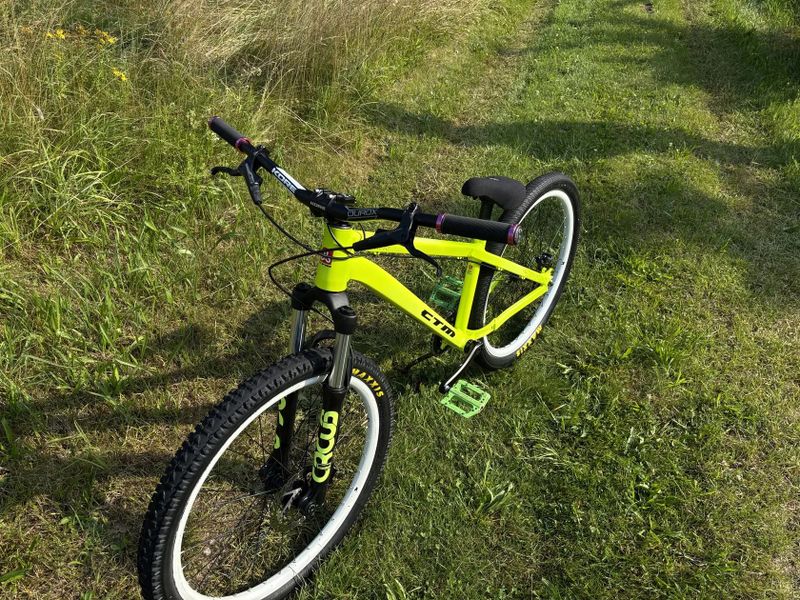 CTM Dirtking expert