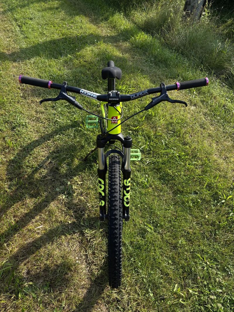 CTM Dirtking expert