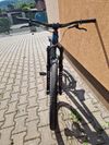 Ctm dirtking