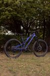 Specialized Stumpjumper CF Comp 